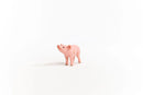 Schleich Farm World Piglet