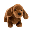 Douglas Dilly Dachshund