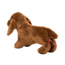 Douglas Dilly Dachshund