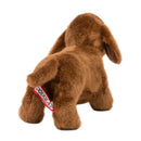 Douglas Dilly Dachshund