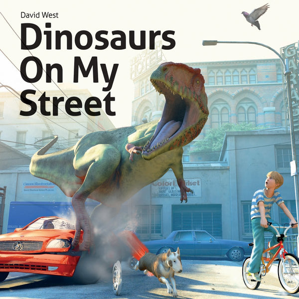 Dinosaurs On My Street Paperback