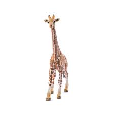 Schleich Wild Life Giraffe Male #14790