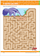 School Zone BIG Mazes & More