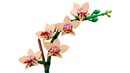 LEGO Botanicals Mini Orchid