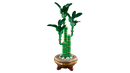 LEGO Botanicals Lucky Bamboo 10344