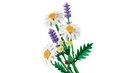LEGO Botanical Collection Daisies