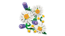 LEGO Botanical Collection Daisies