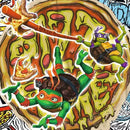 Ravensburger 3 x 49 Piece Puzzles TMNT Ninja Turtles In Action!