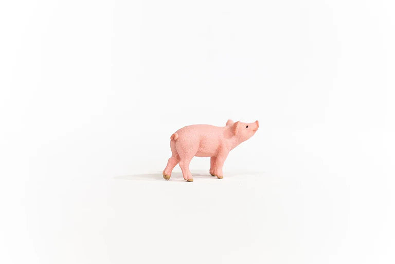 Schleich Farm World Piglet