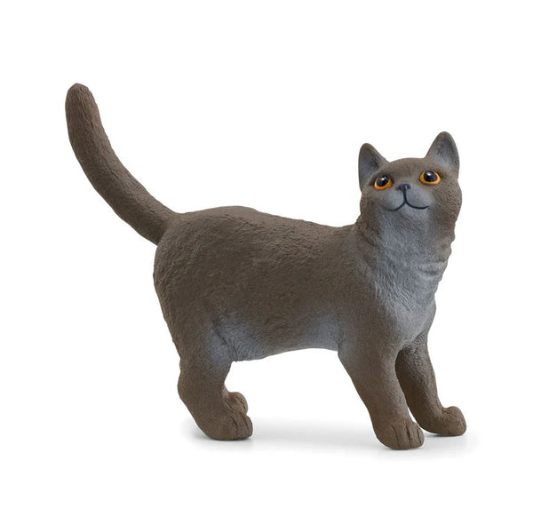 Schleich British Shorthair Cat 13973