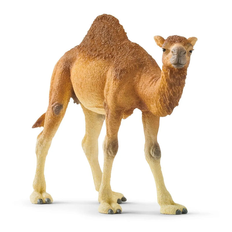 Schleich Wild Life Dromedary/Camel