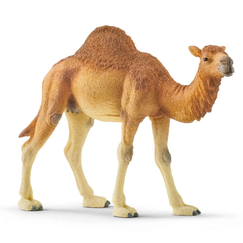 Schleich Wild Life Dromedary/Camel