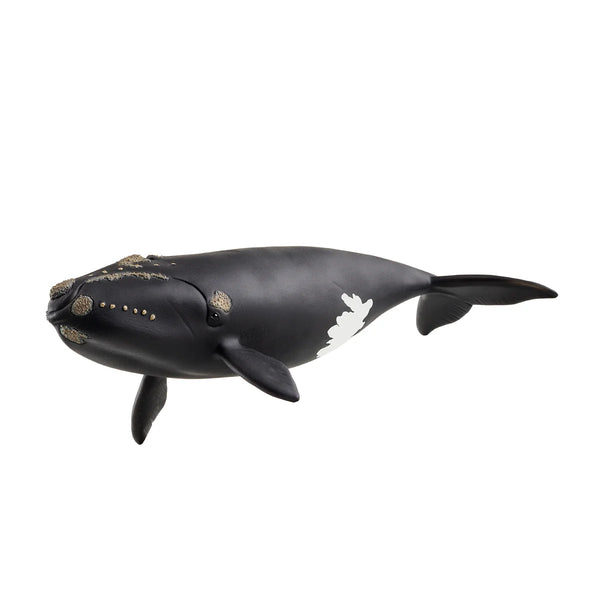 Schleich Wild Life North Atlantic Right Whale  #14878