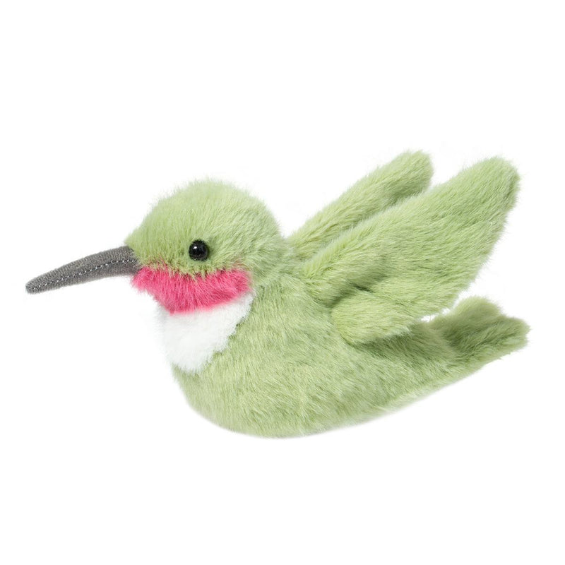Douglas Nectar Hummingbird