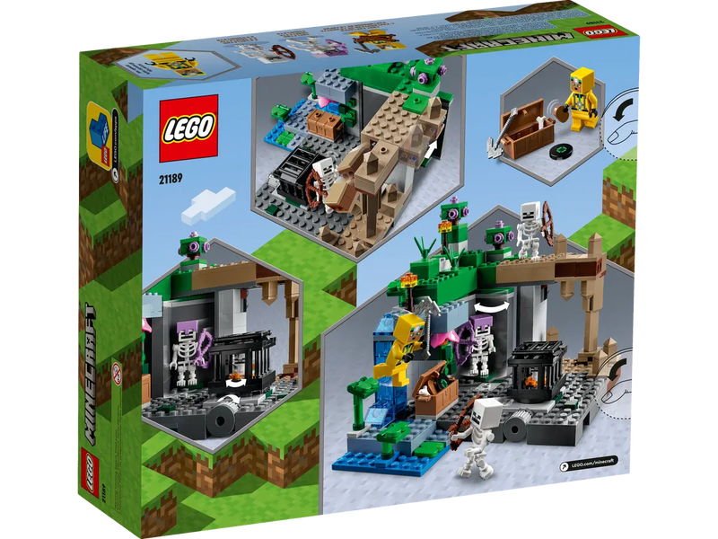 LEGO Minecraft The Skeleton Dungeon 21189