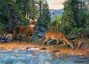 Cobble Hill 1000 Piece The River's Edge