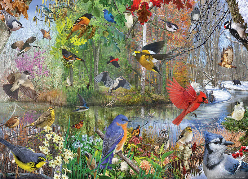 Cobble Hill 1000 Piece Birds Of The Season