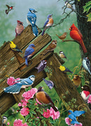 Cobble Hill 1000 Piece Puzzle Birds Of The Forest