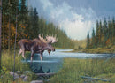 Cobble Hill 1000 Piece Puzzle Moose Lake