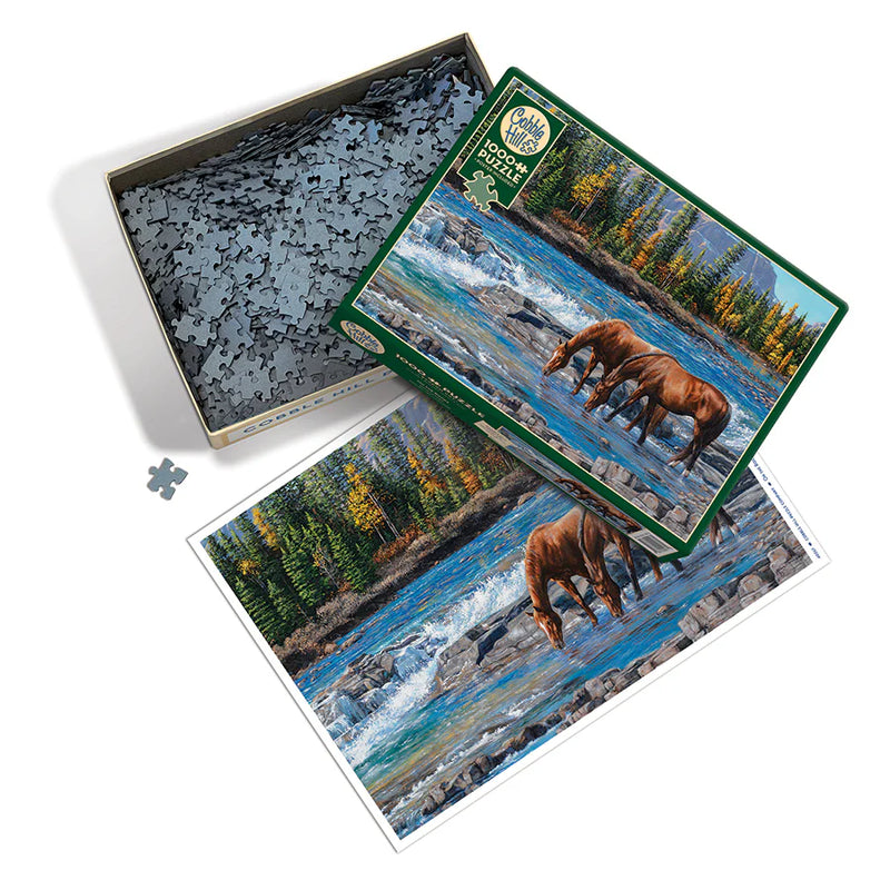 Cobble Hill 1000 Piece Puzzle On The Rocks