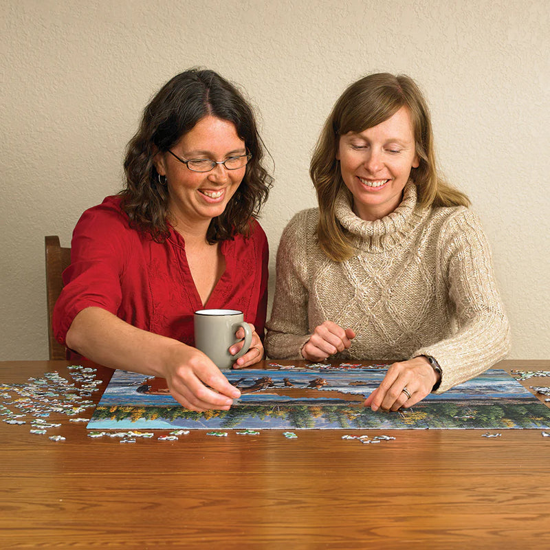 Cobble Hill 1000 Piece Puzzle On The Rocks