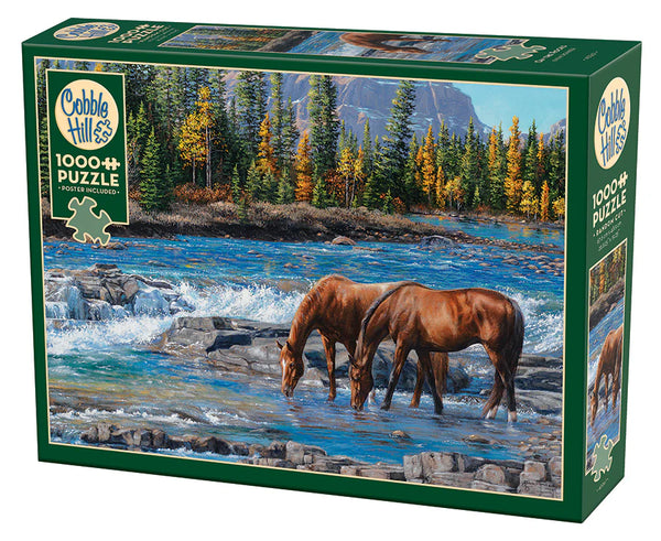 Cobble Hill 1000 Piece Puzzle On The Rocks
