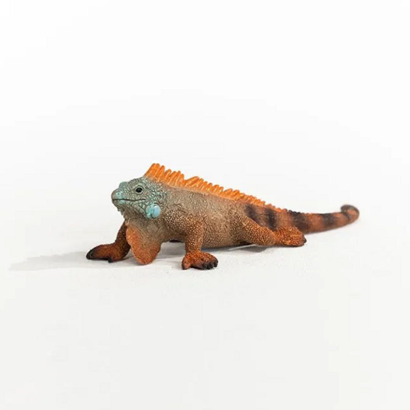 Schleich Wild Life Iguana