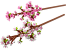 LEGO Botanical Collection Cherry Blossoms 40725