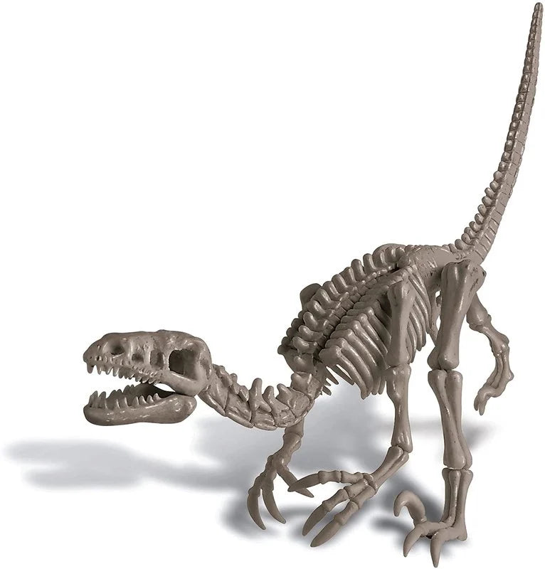 4M Dig A Dinosaur Skeleton Velociraptor