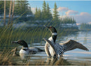 Cobble Hill 1000 Piece Puzzle Common Loons
