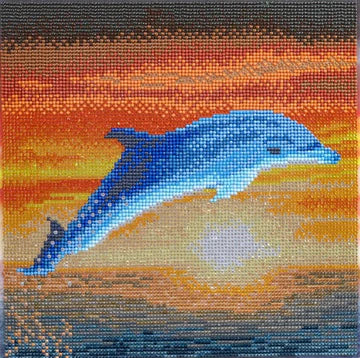 Crystal Art Medium Framed Kit Dolphin Sunrise