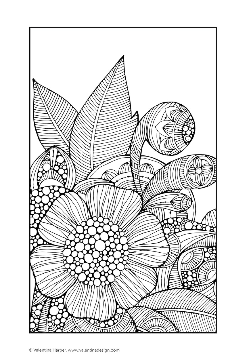 Colour Zen Colouring Book