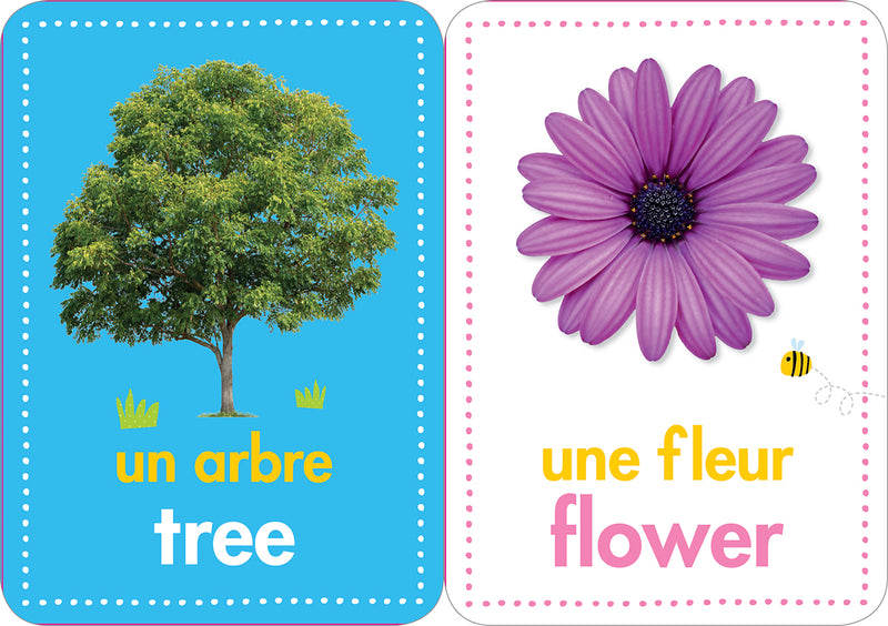 Scholastic Early Learners Flashcards 50 French-English First Words