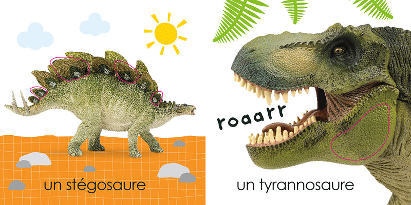 Touche A Tout Dinosaures