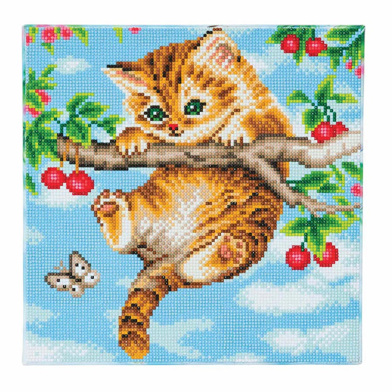 Crystal Art Medium Framed Kit Cherry Kitten