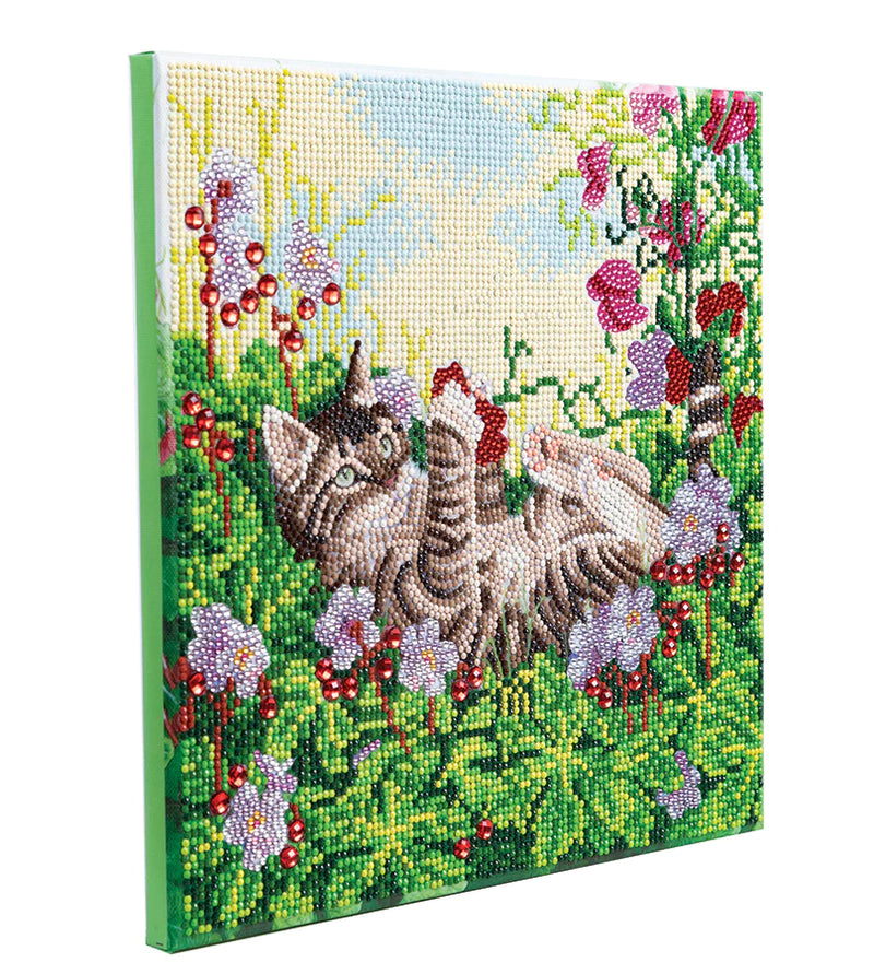 Crystal Art Medium Framed Kit Playful Cat