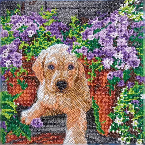 Crystal Art Medium Framed Kit Floral Pup