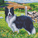 Crystal Art Medium Framed Kit Pup in The Field