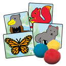 Tutti Frutti Friends In The Forest