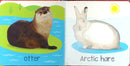 Touch And Feel Canadian Animals Board Book
