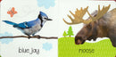 Touch And Feel Canadian Animals Board Book