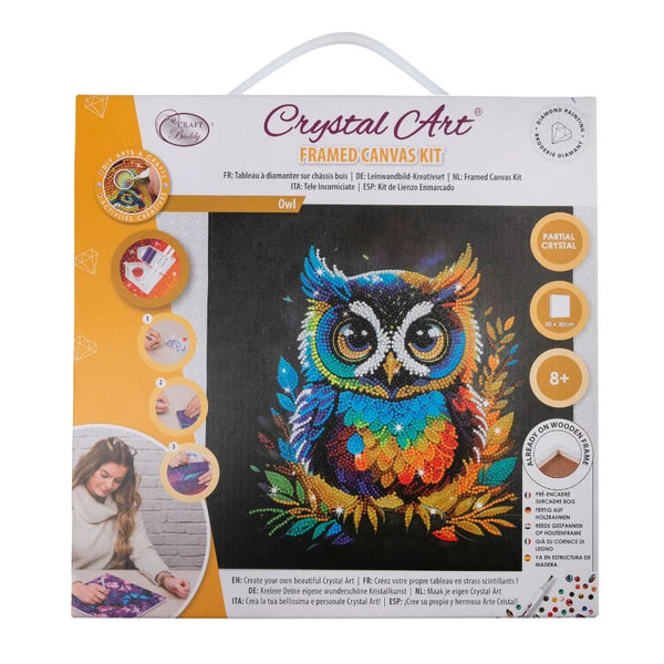 Crystal Art Medium Framed Kit Owl