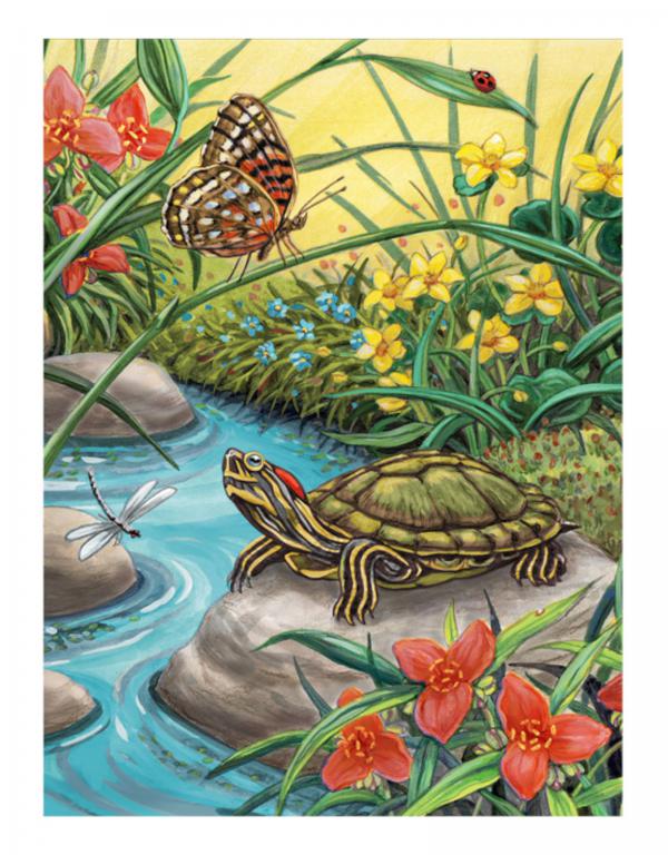 Royal & Langnickel Paint By Numbers Red Eared Slider