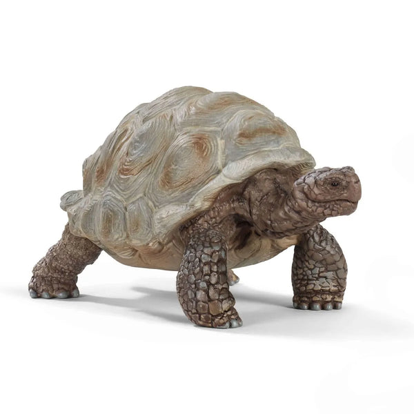 Schleich Wild Life Giant Tortoise #14824