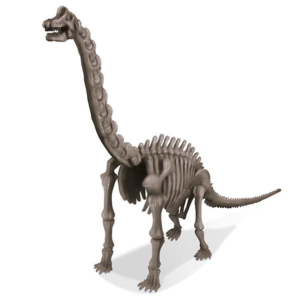 4M Dig A Dinosaur Skeleton Brachiosaurus