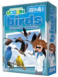 Professor Noggin Birds North America
