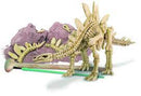 4M Dig  A Dinosaur Skeleton Stegosaurus