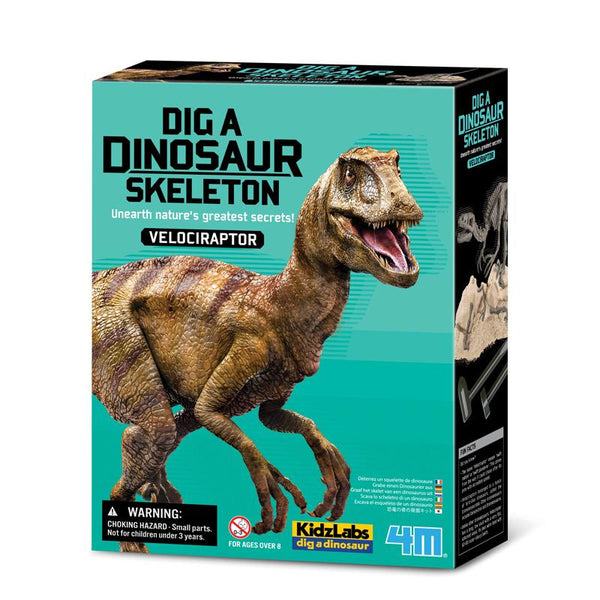 4M Dig A Dinosaur Skeleton Velociraptor