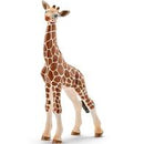 Schleich Wild Life Giraffe Calf