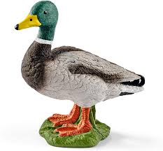 Schleich Farm World Drake Duck #13824